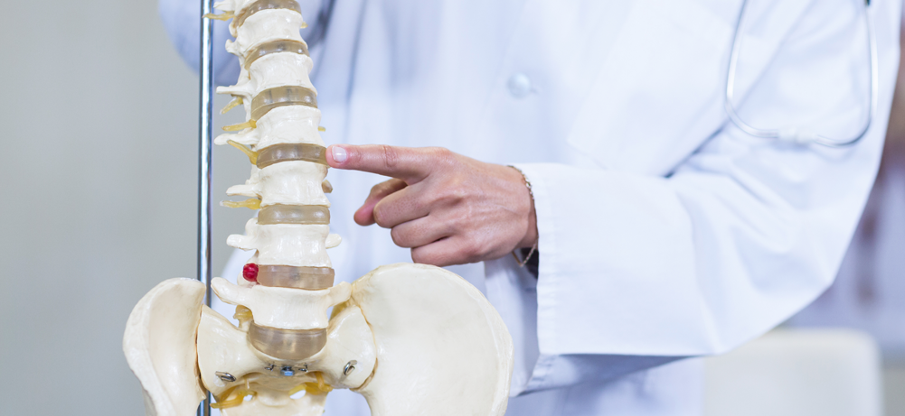 센터 비주얼 이미지